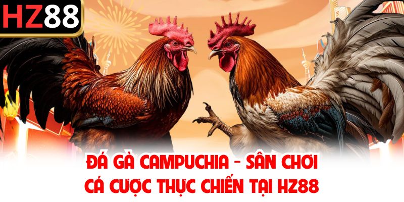 Giới thiệu hình thức chọi kê Campuchia
